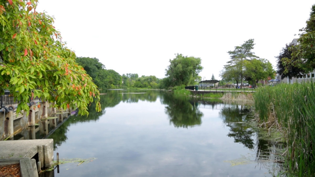 Rogue River - Schrems West Michigan Trout Unlimited